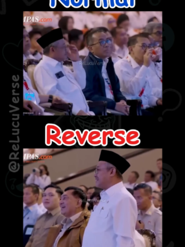 @ReLucuVerse
