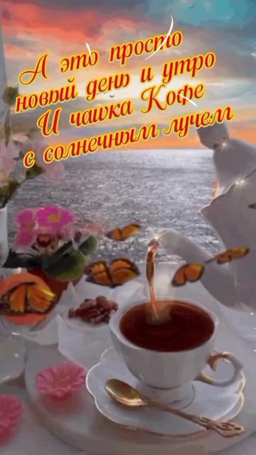 @Ирина Волкова9983@