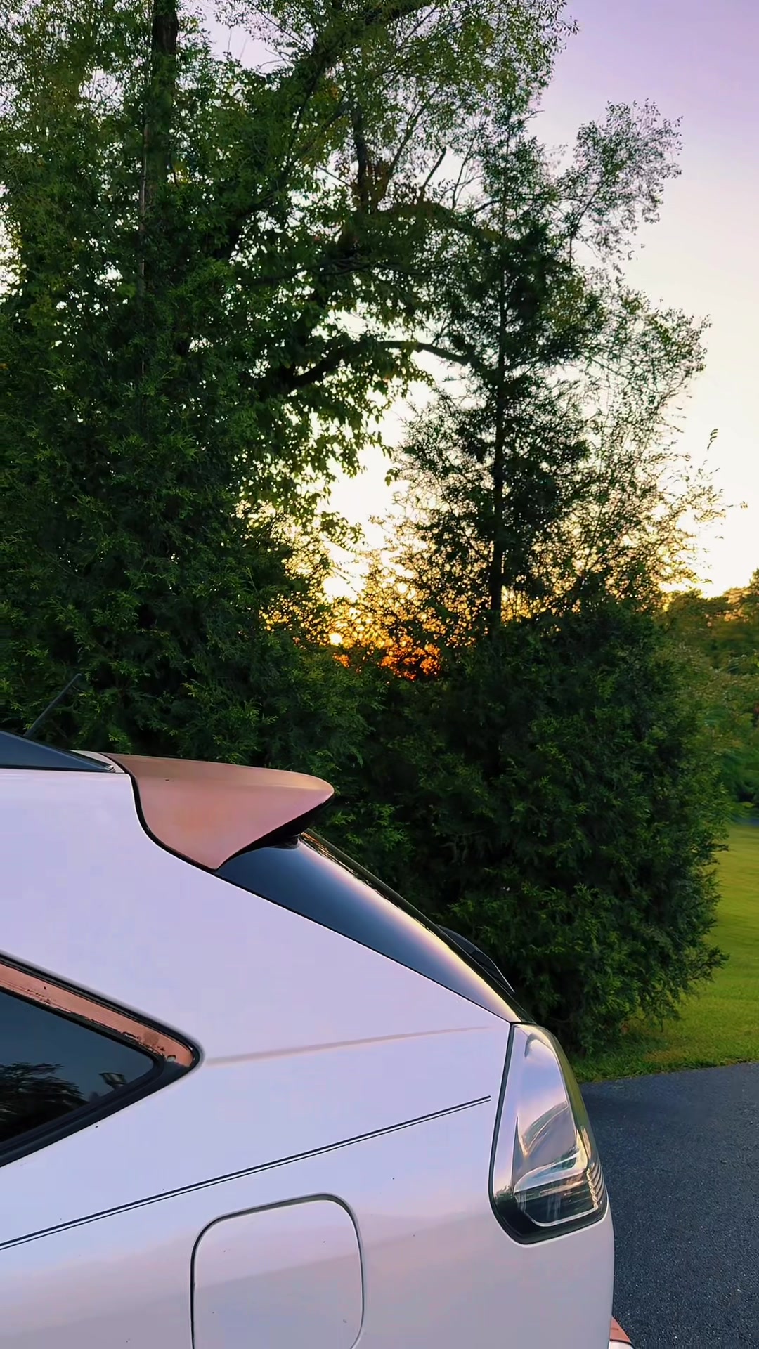 @Danigurl🦮🏇🌅