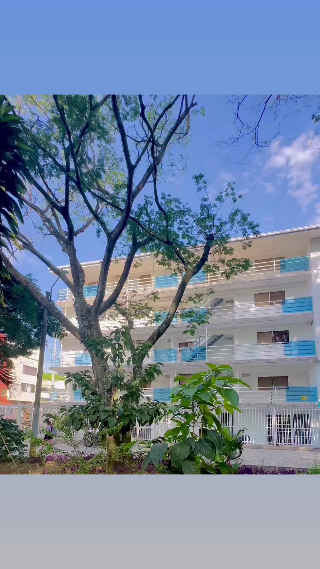 @Edificio Pinares del Ingenio