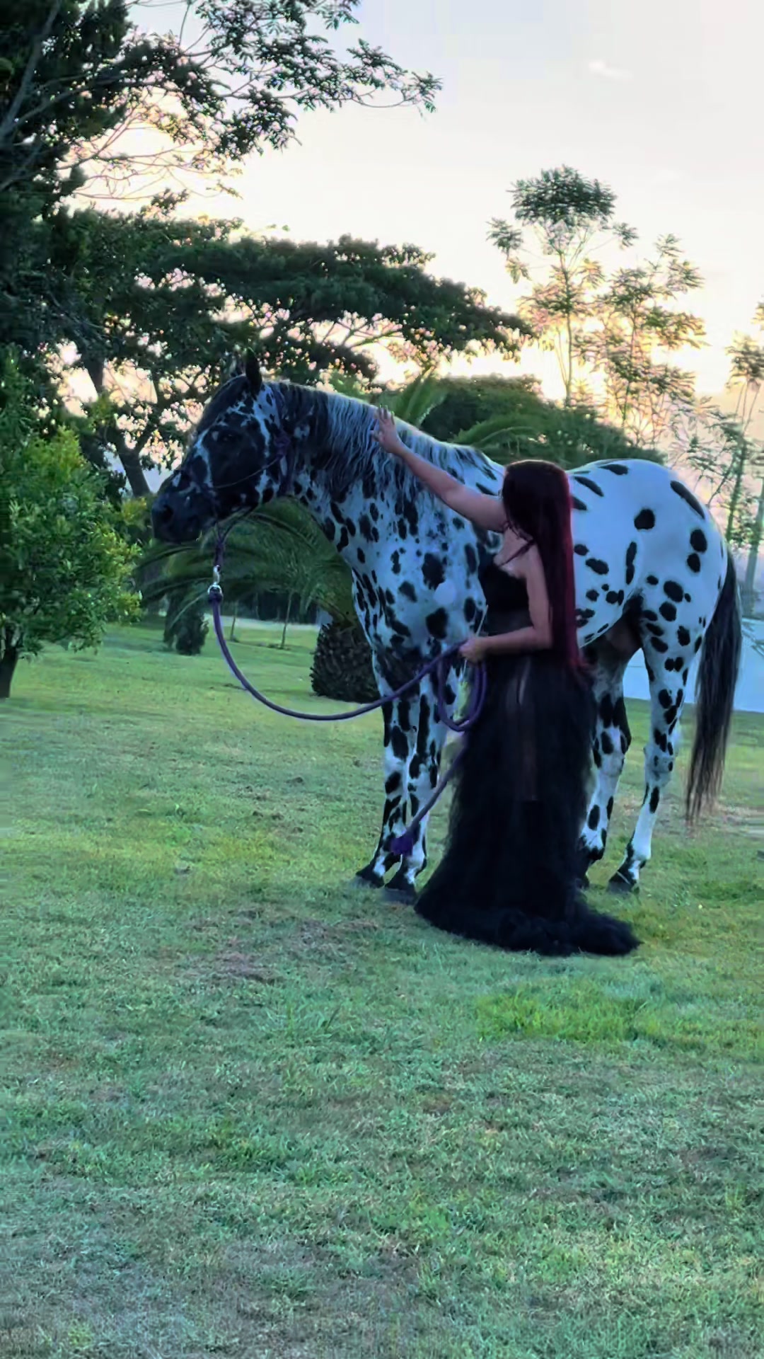 @Hacienda Do&ntilde;a Ana