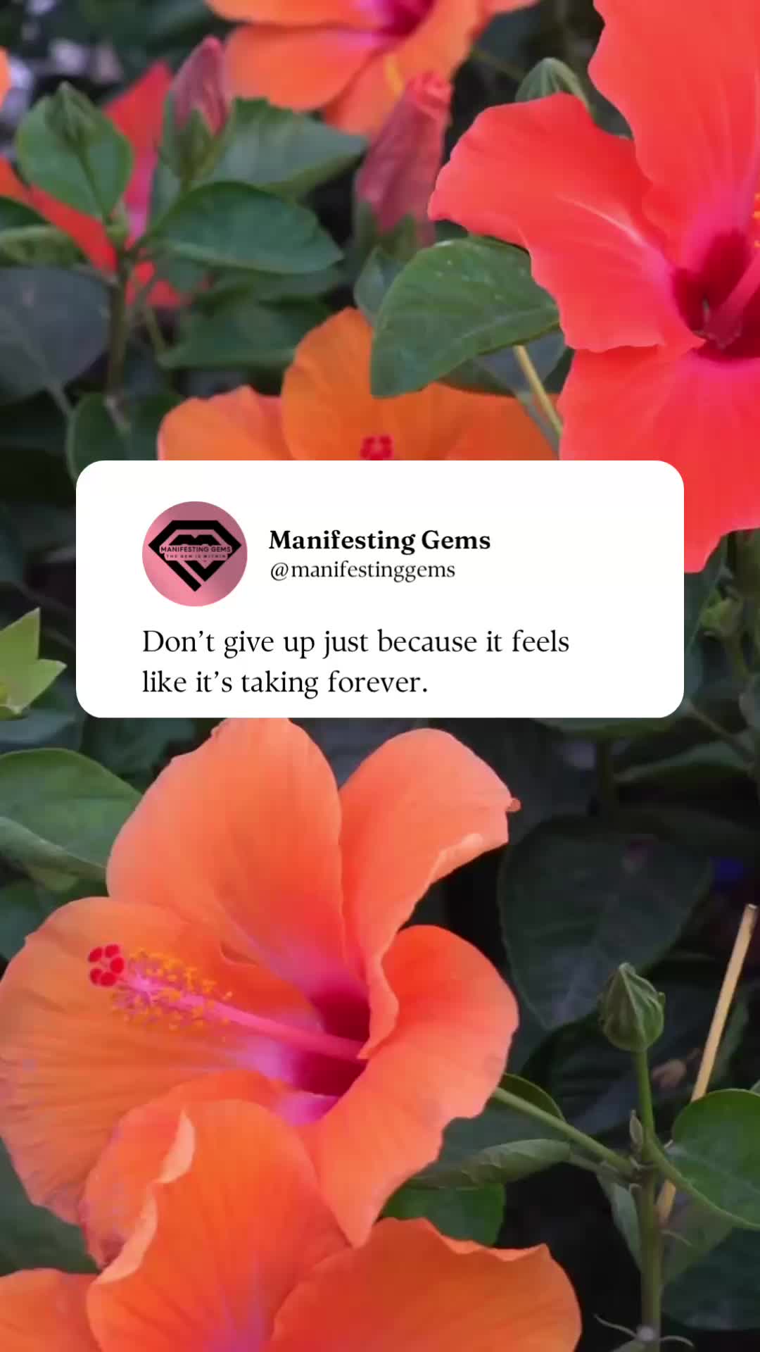 @Manifesting Gems