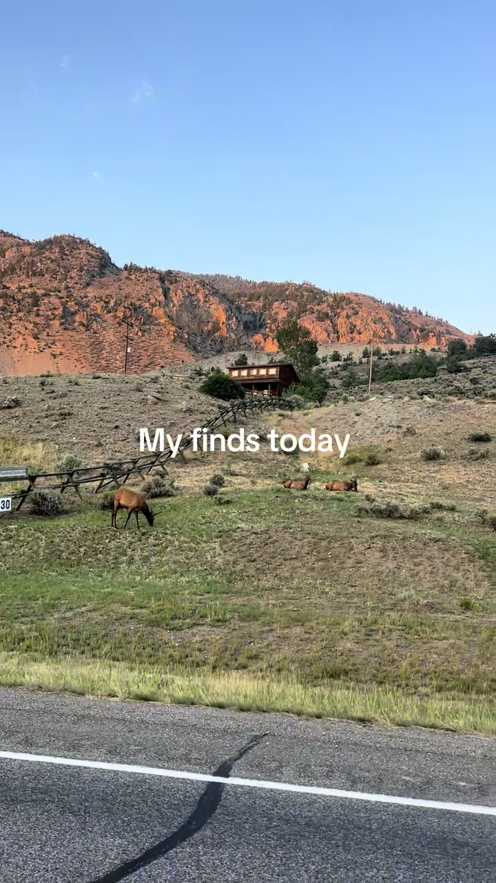@Living in the 406❌