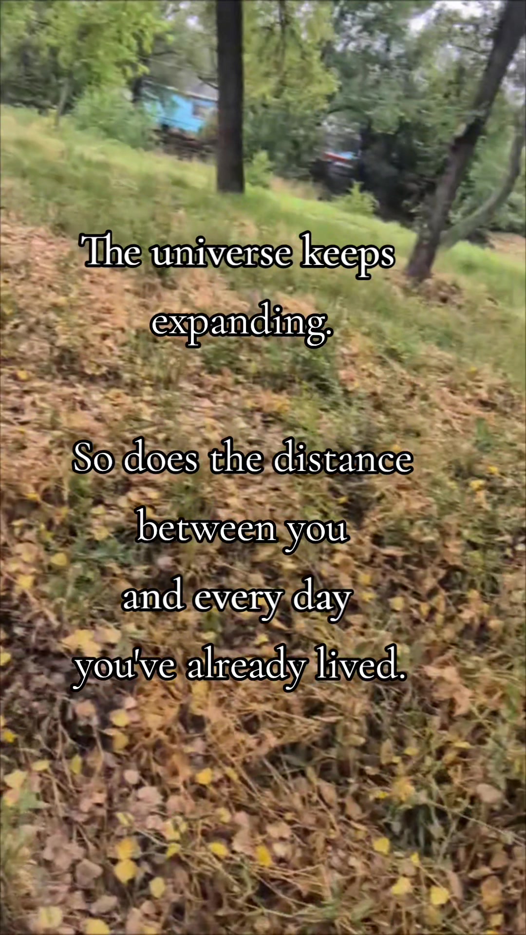 @🥀