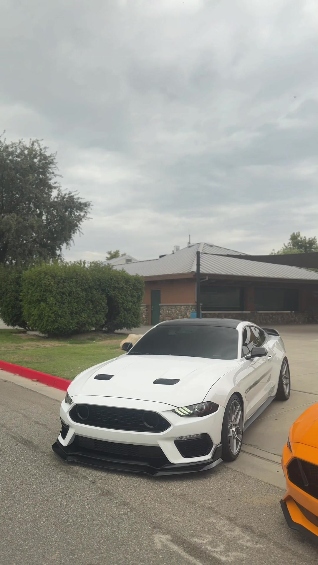@Jalen.cs