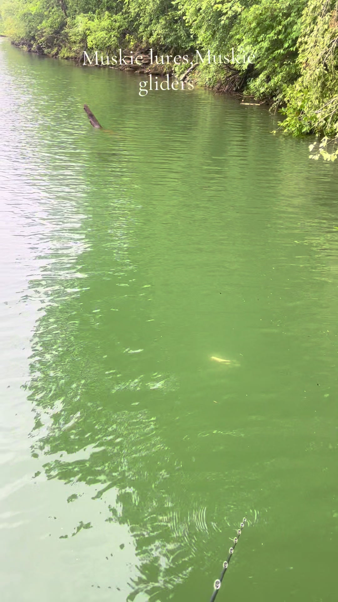 @JW Lures