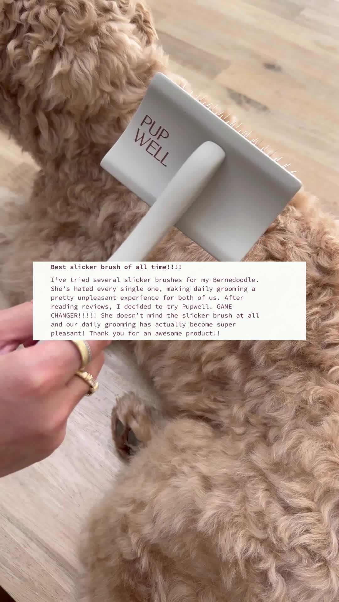 @Pupwell