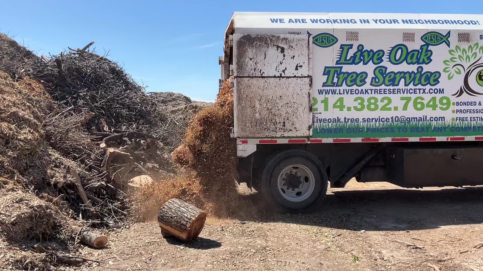 @Live Oak Tree Service