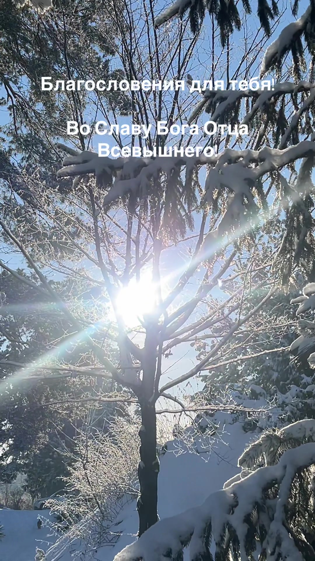 @ВладвМир