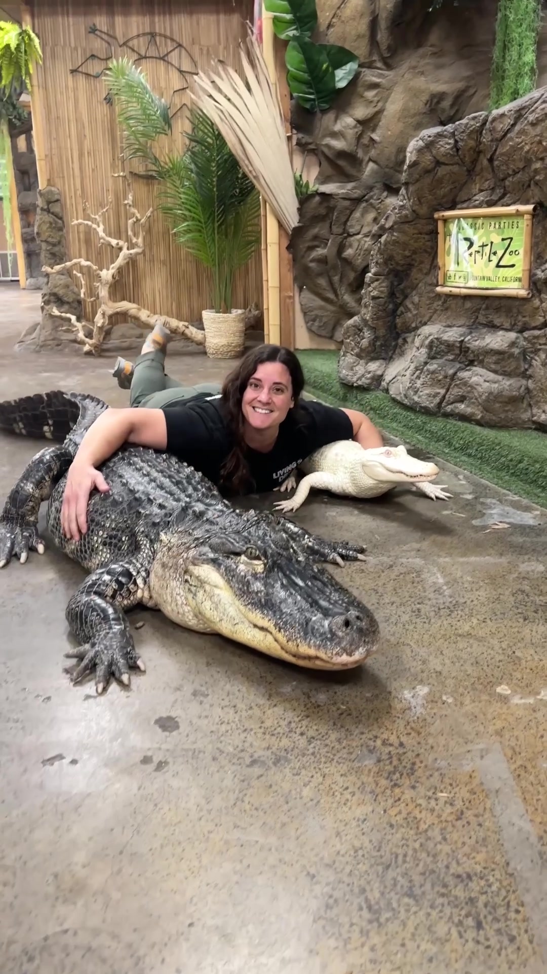 @The Reptile Zoo
