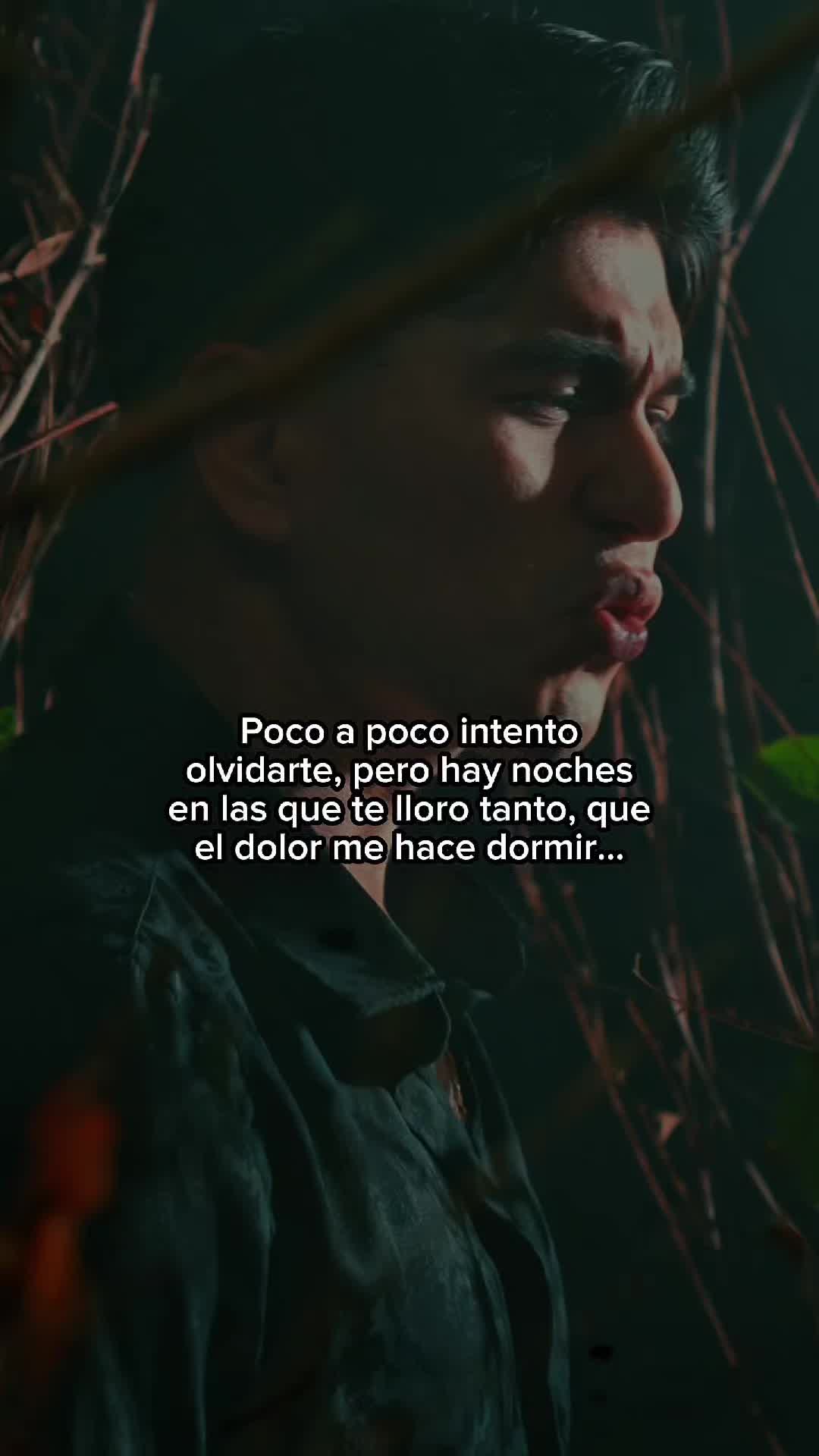 @LaOriginalBandaElLimon 🍋