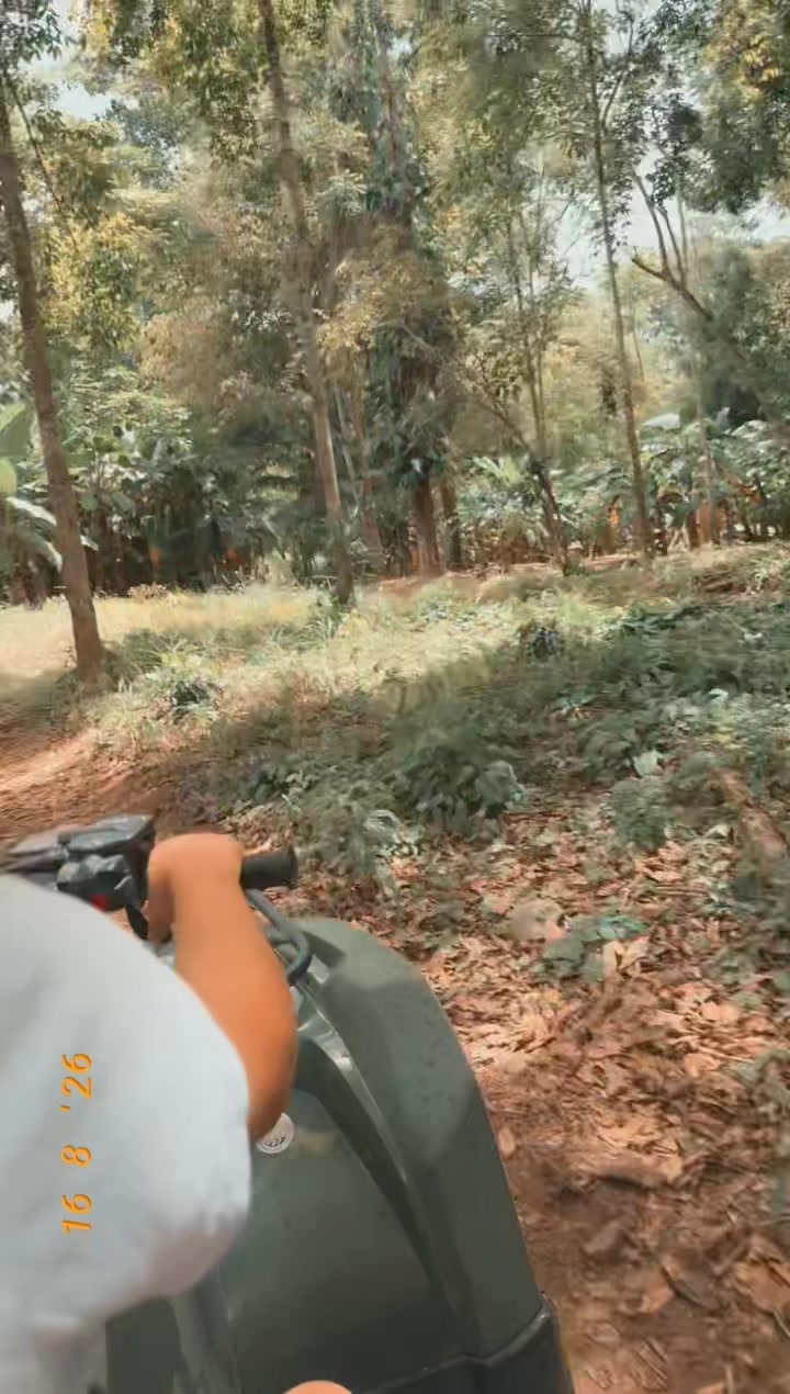 @Blingedbysonia