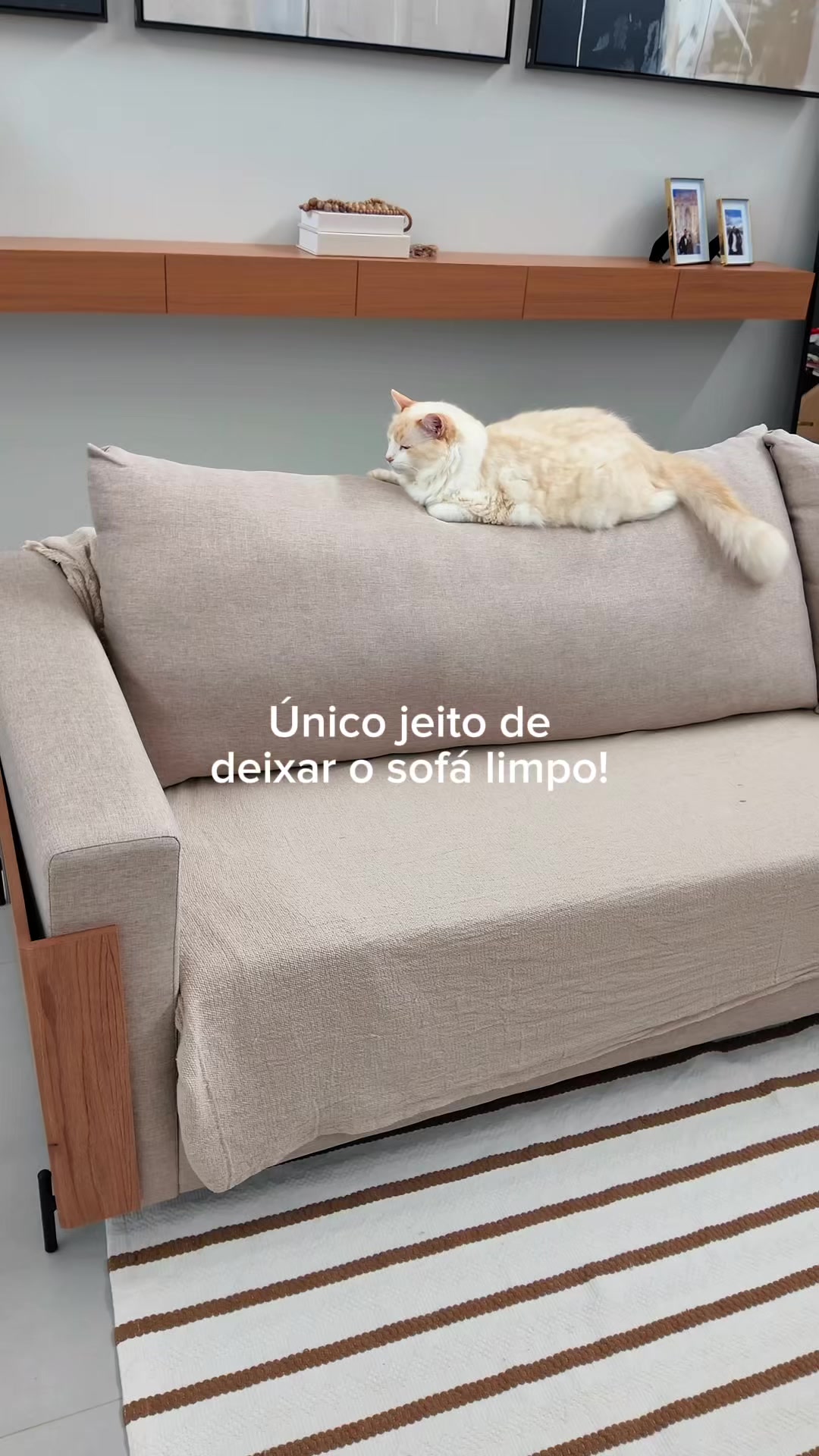 @Camilla Amaral • Comprinhas