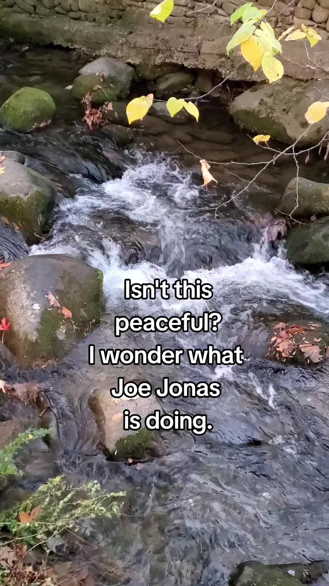 @Jax