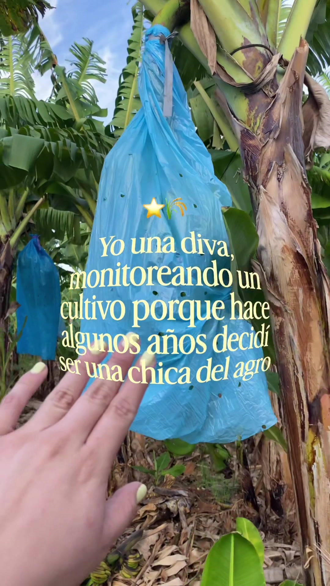 @Mujer Agrícola