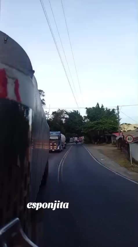 @el taya
