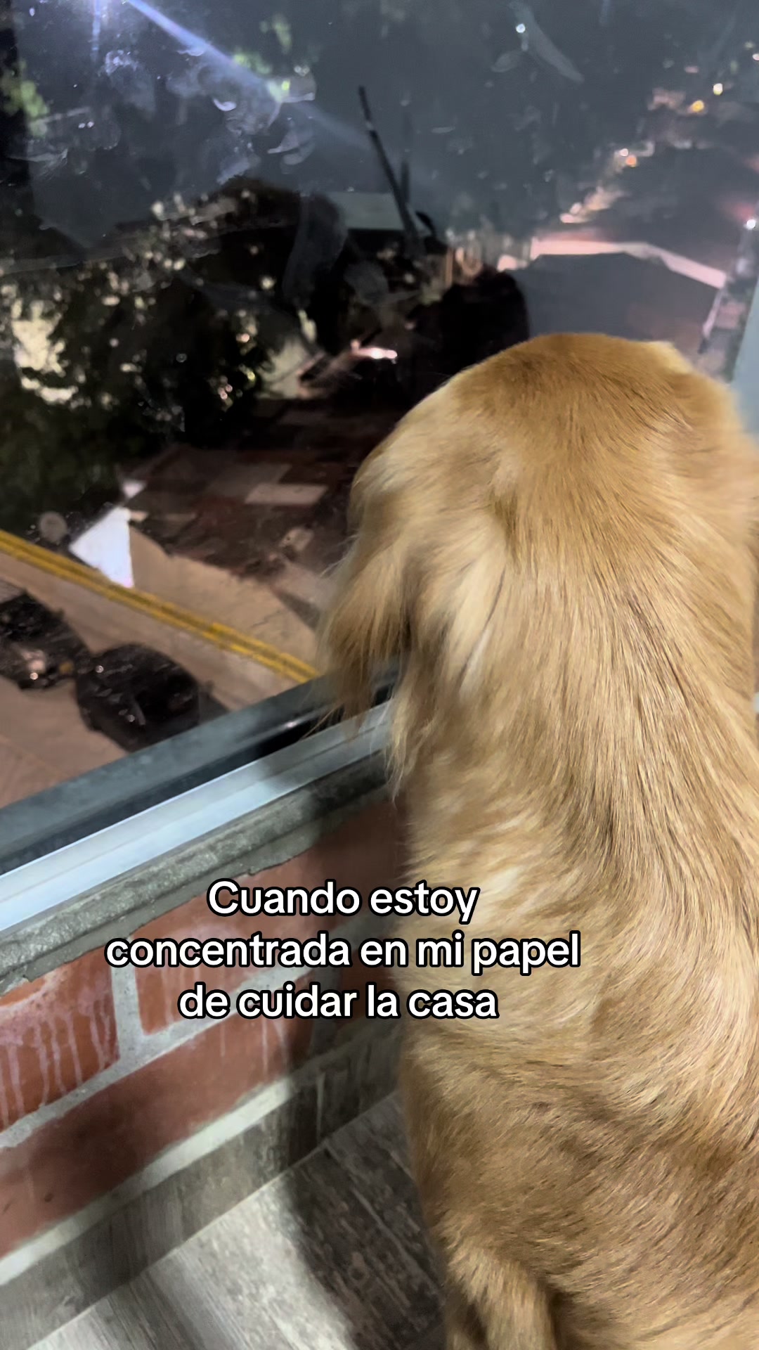 @Mila 🐶