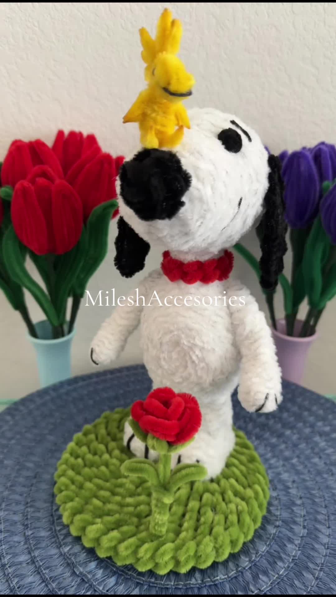 @Milesh Accesories