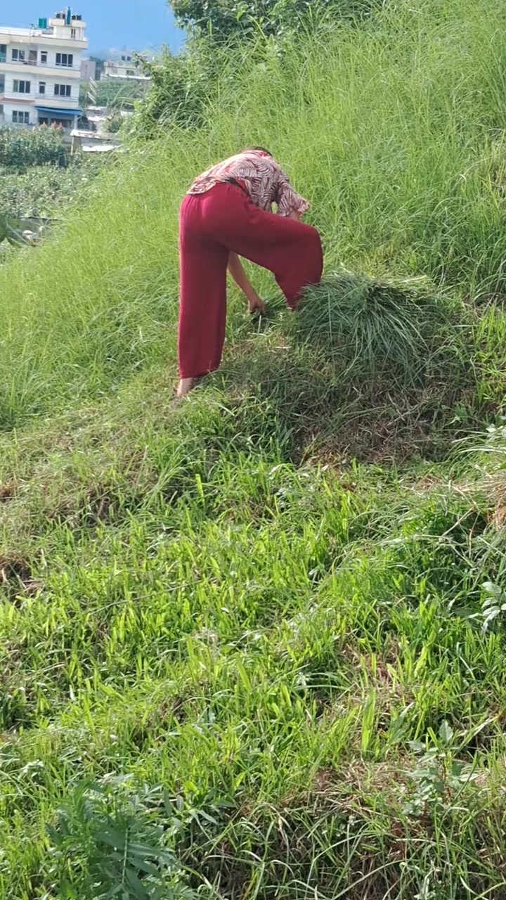 @sujata