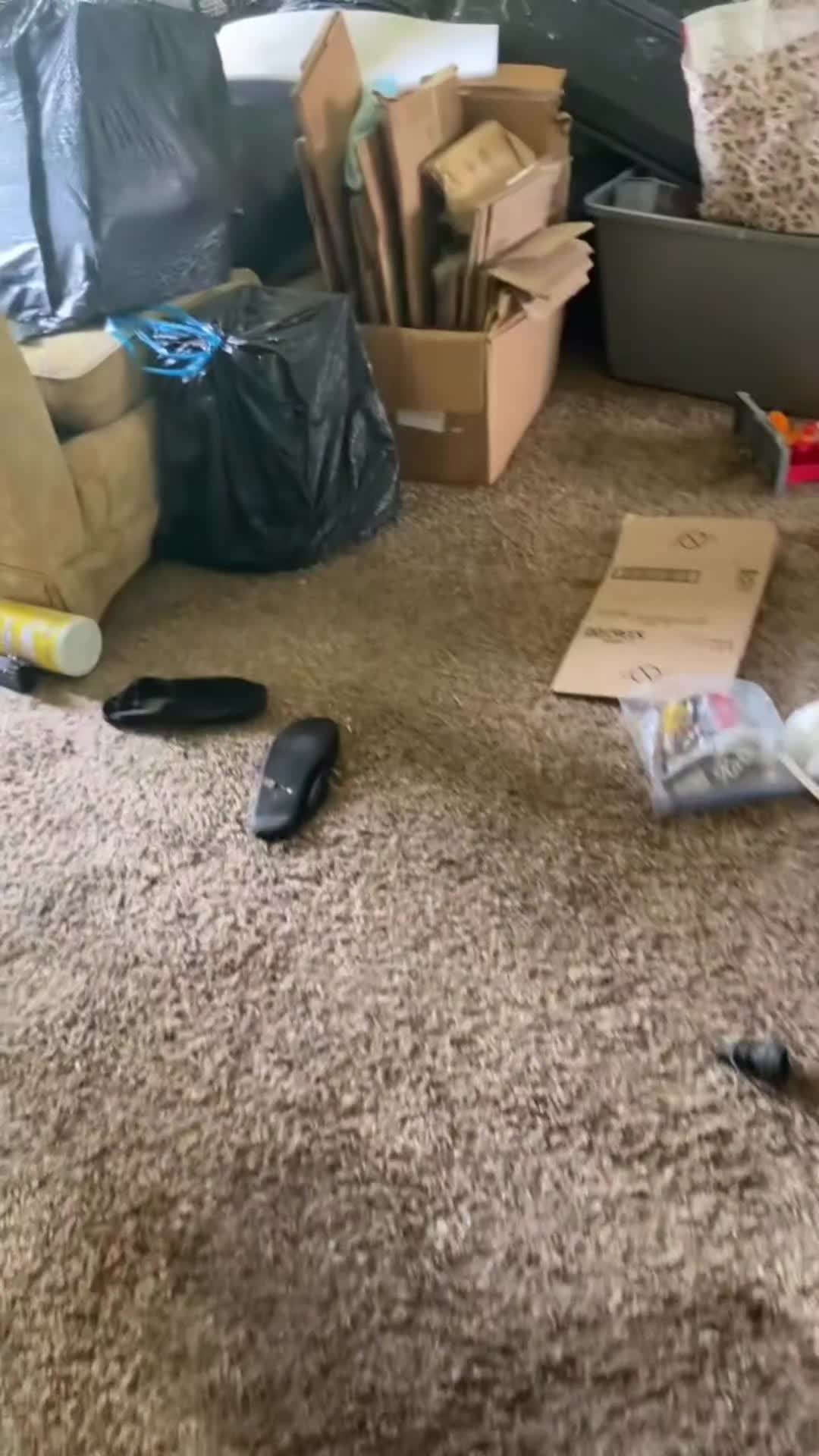 @Bigdaddyleo