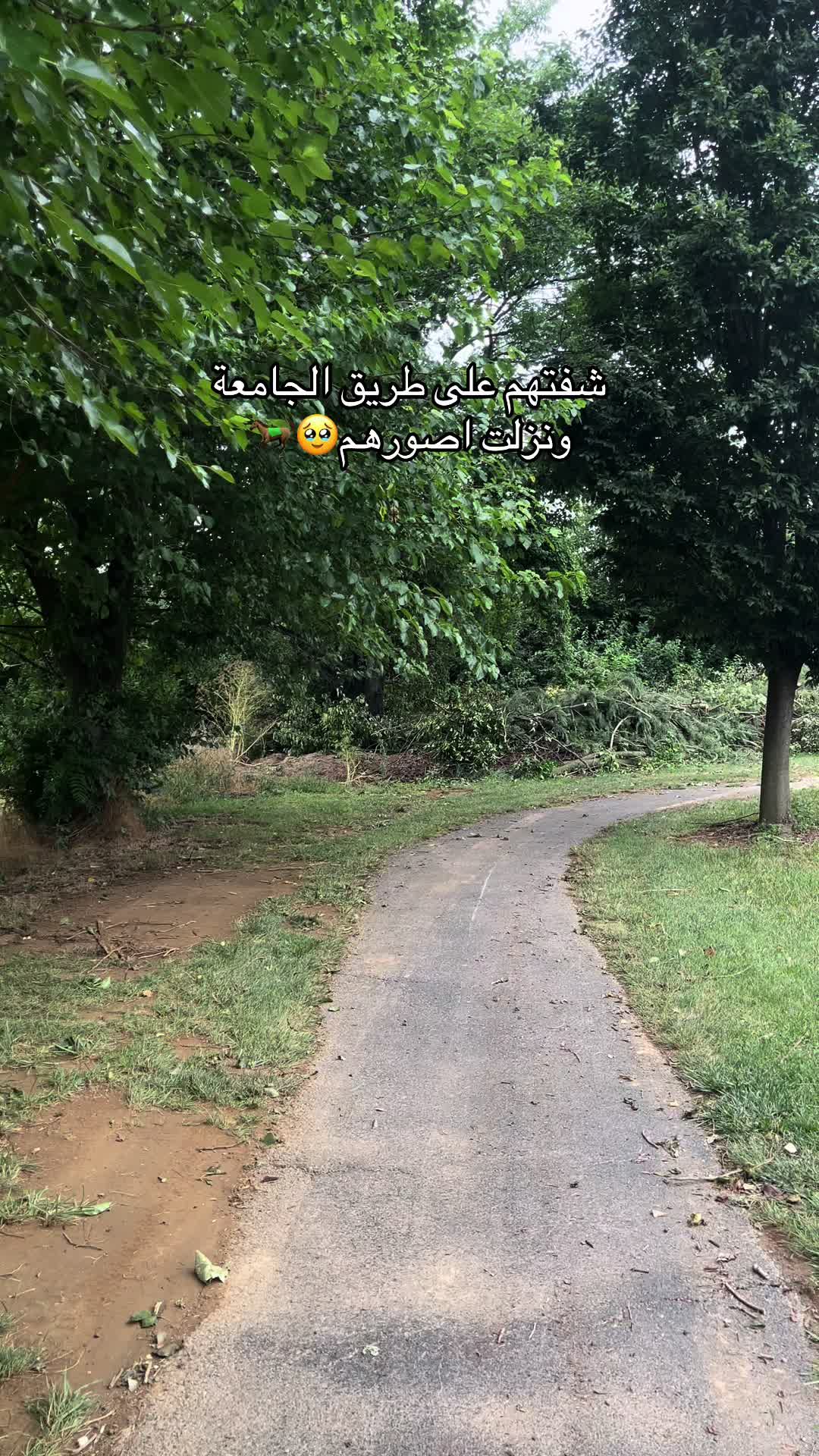 @ᏃᎪᎻᏒᎪ ᎷᏫᎻᎪᎷᎷᎬᎠ🇸🇦🇺🇸