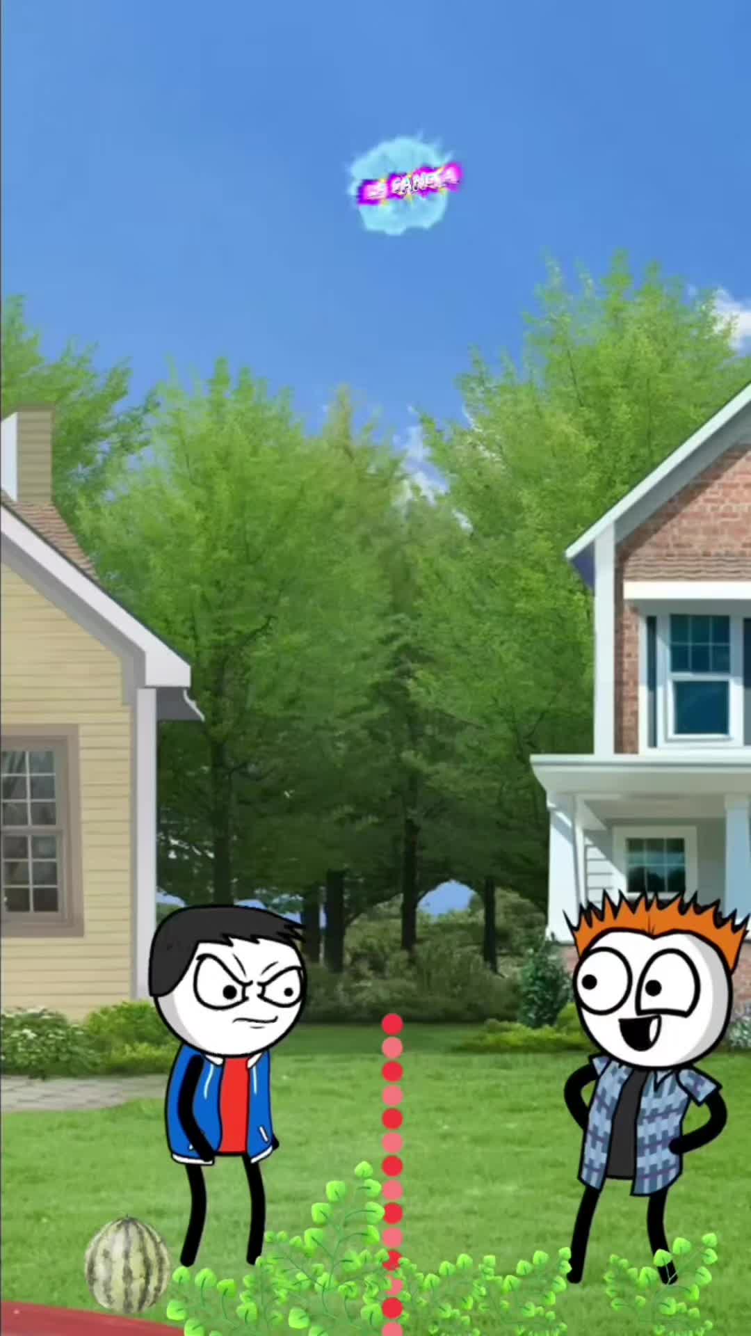 @Perchez5