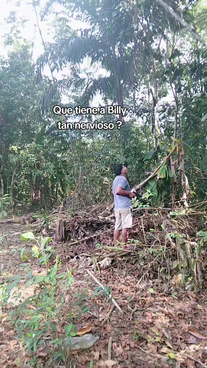 @⚡Elias Flores V⚡