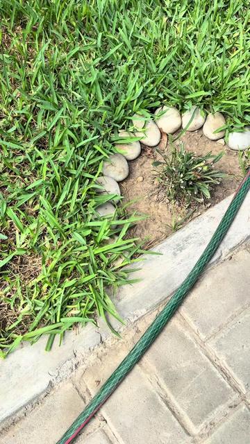 @Vivero Las Gardenias Per&uacute;