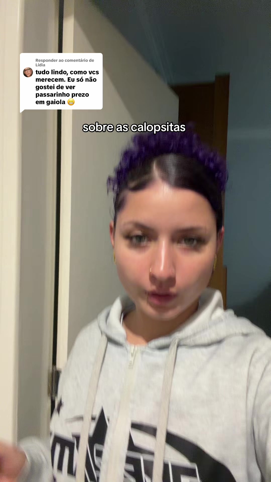 @sammy_bento