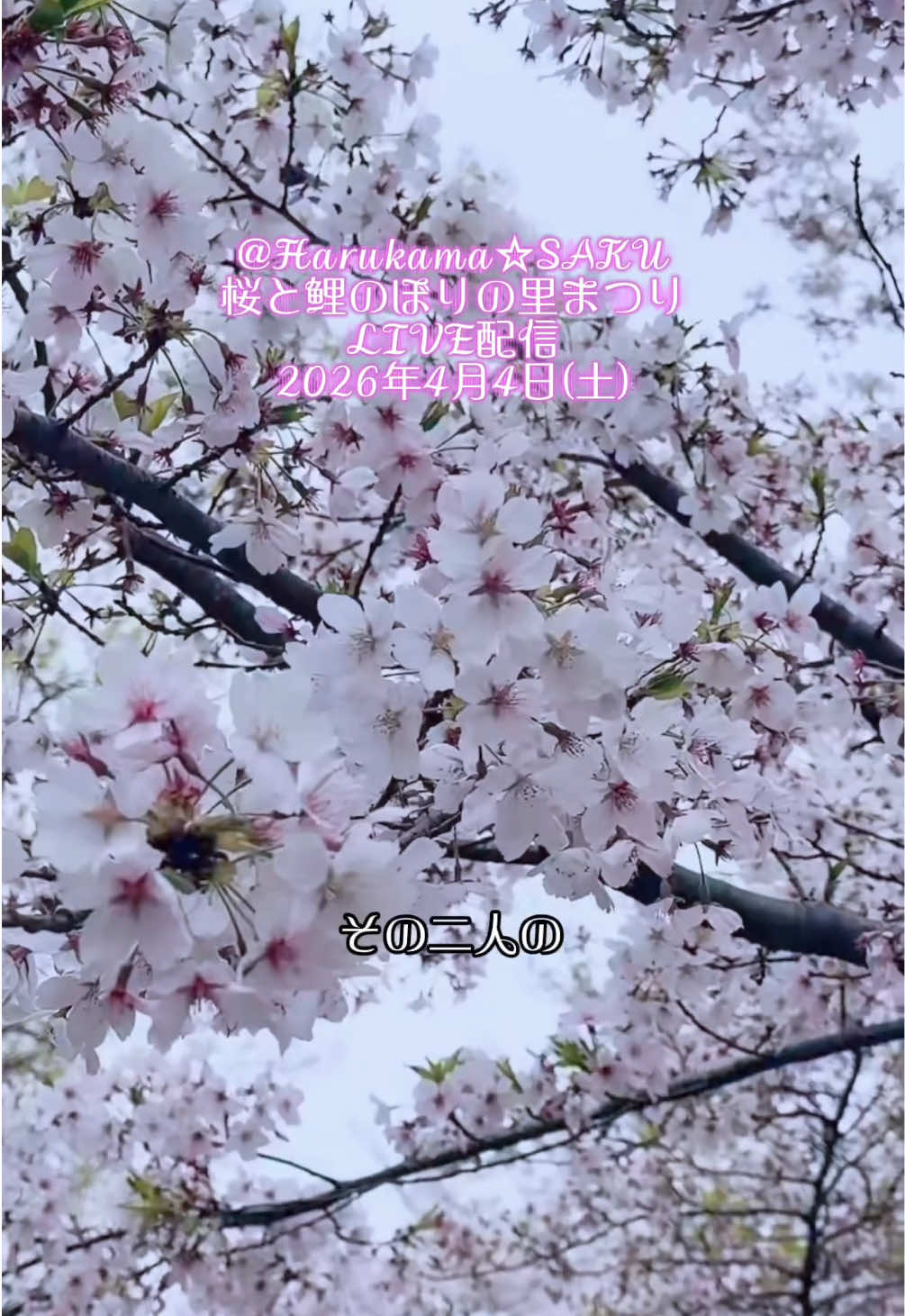 @ðð¿yuuâ¡ð§