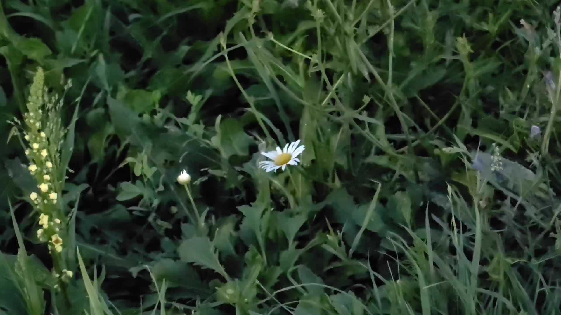 @tyvm