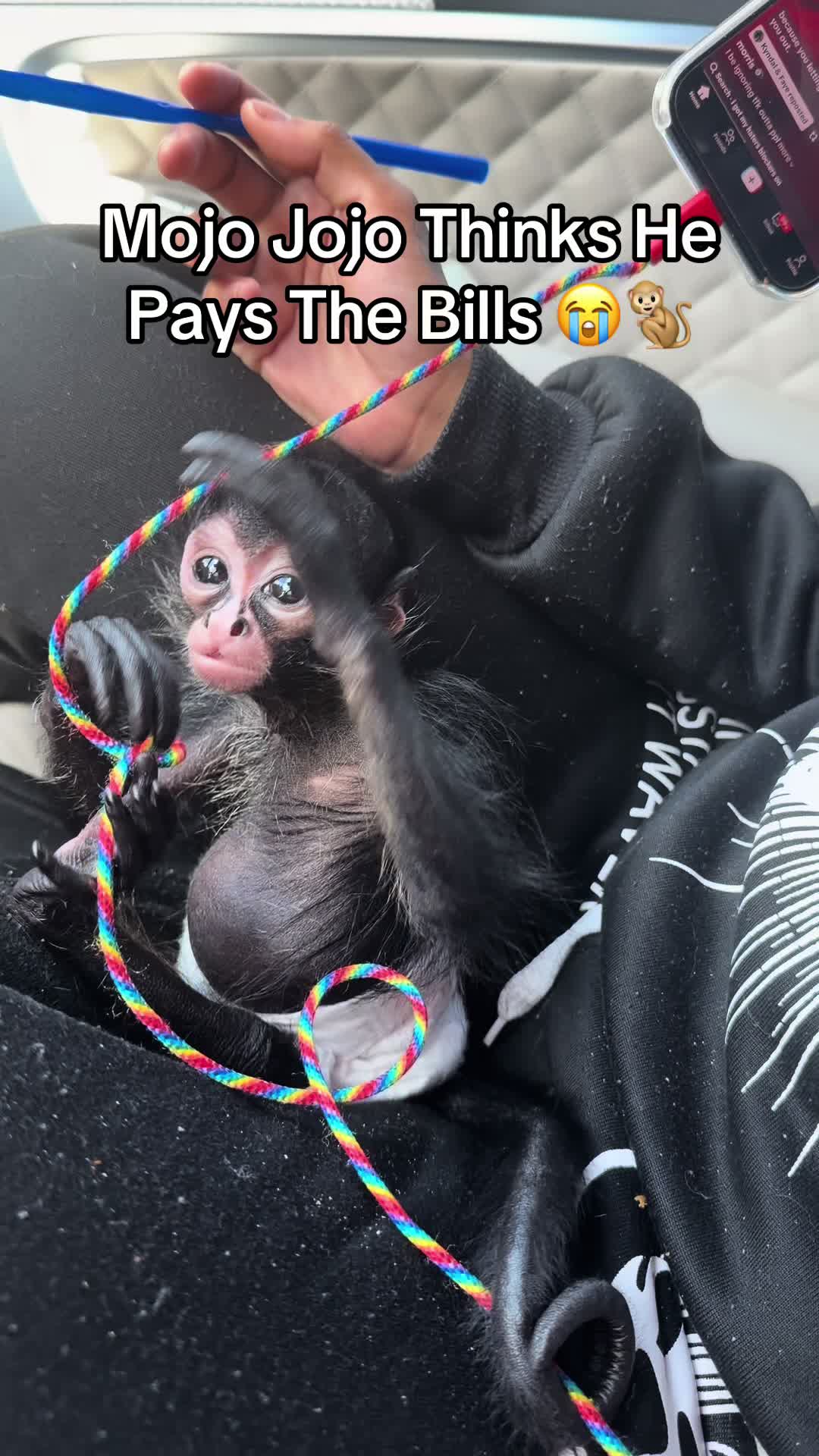 @OJTV & Mojo Jojo🧡