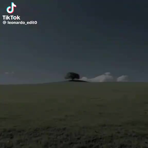@🔥👑𝓓𝓐𝓝𝓘𝓔𝓛𝓘𝓛𝓛𝓞👑🔥