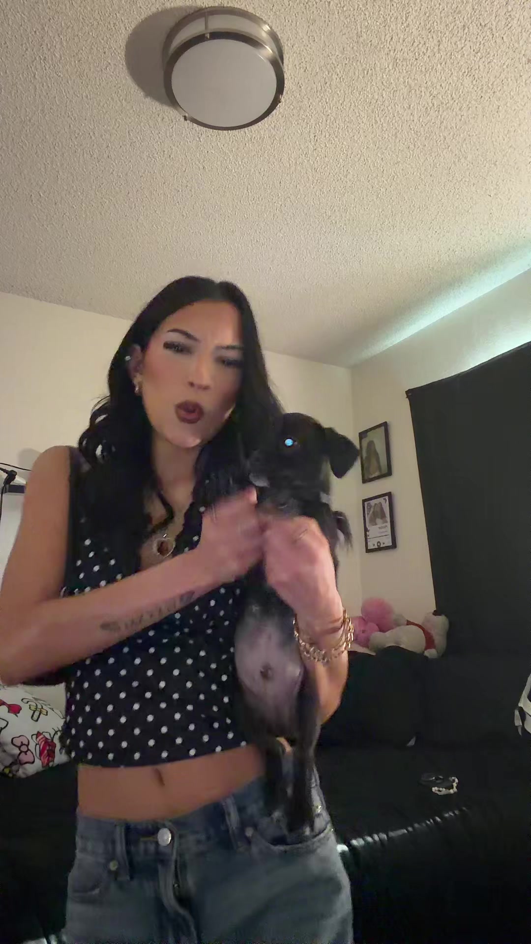 @destiny alexis