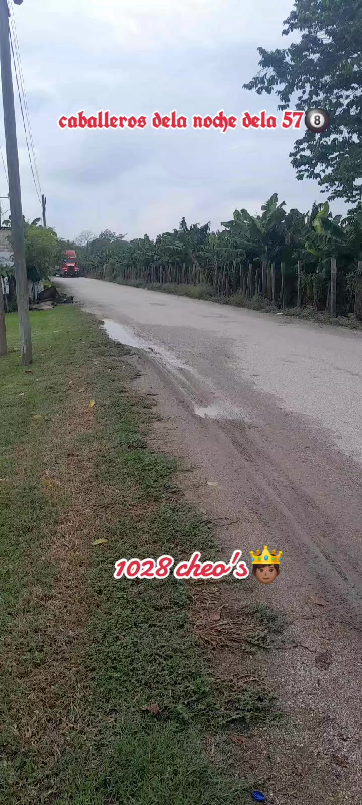 @1028gallito🐓❤️