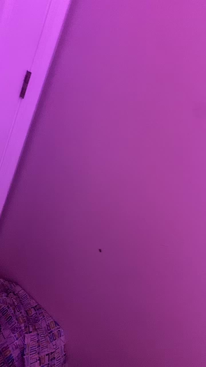 @gymwithbeezy