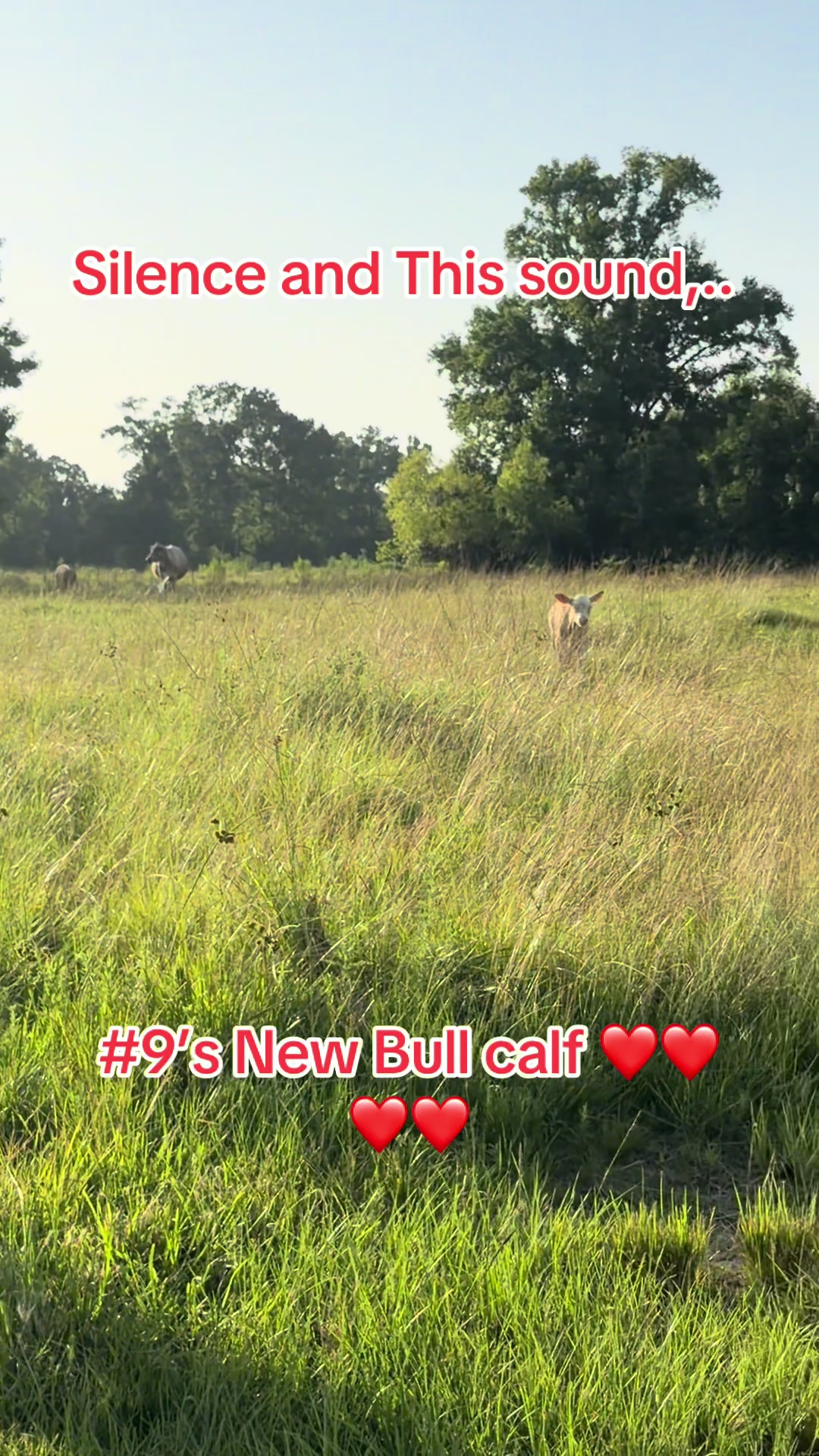 @ER/Trauma RN/Ranching/Farmlife