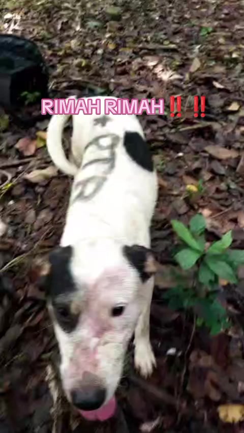 @X⁵⁰⁰™👾⚡🐾