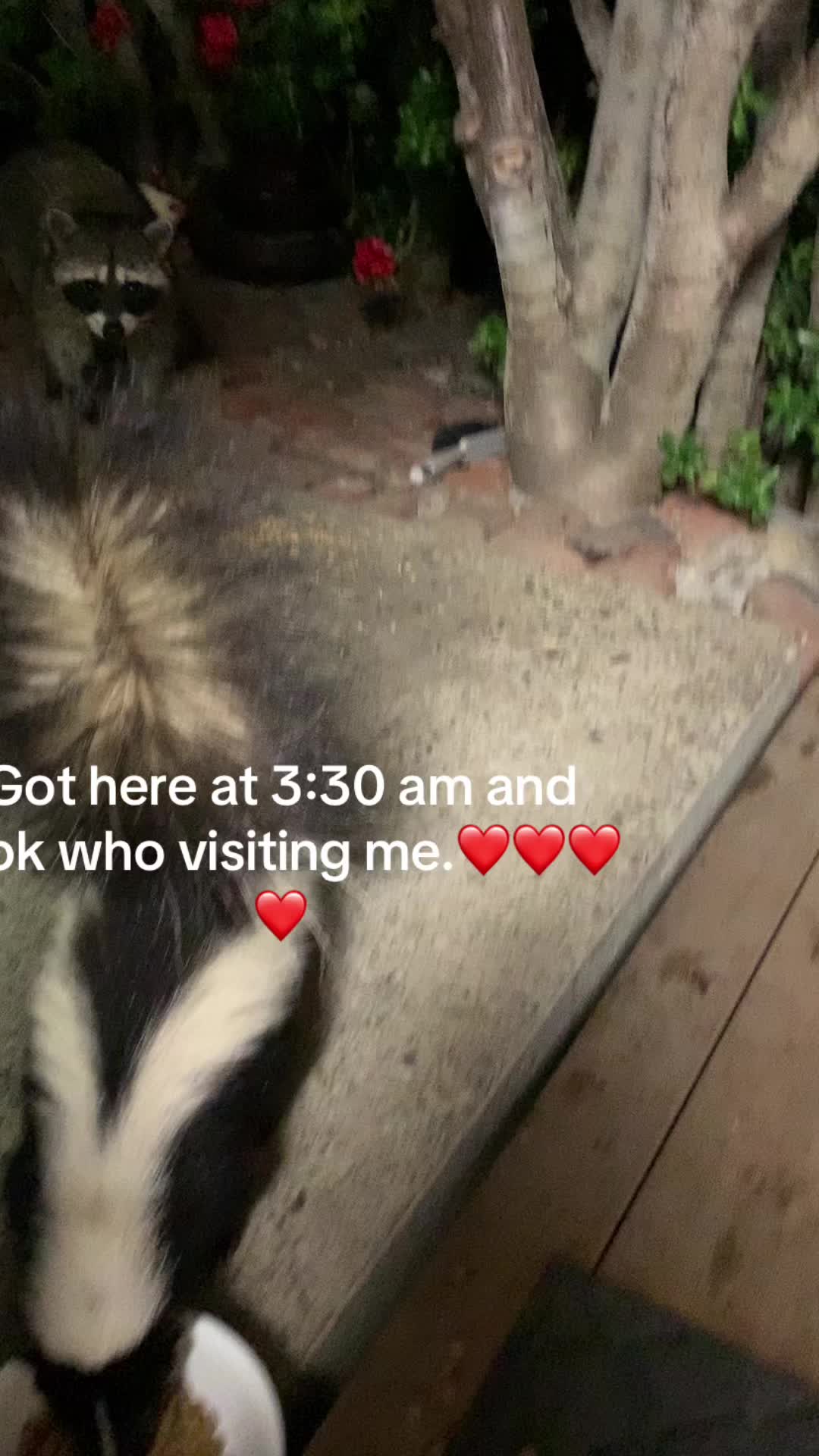 @naisae4