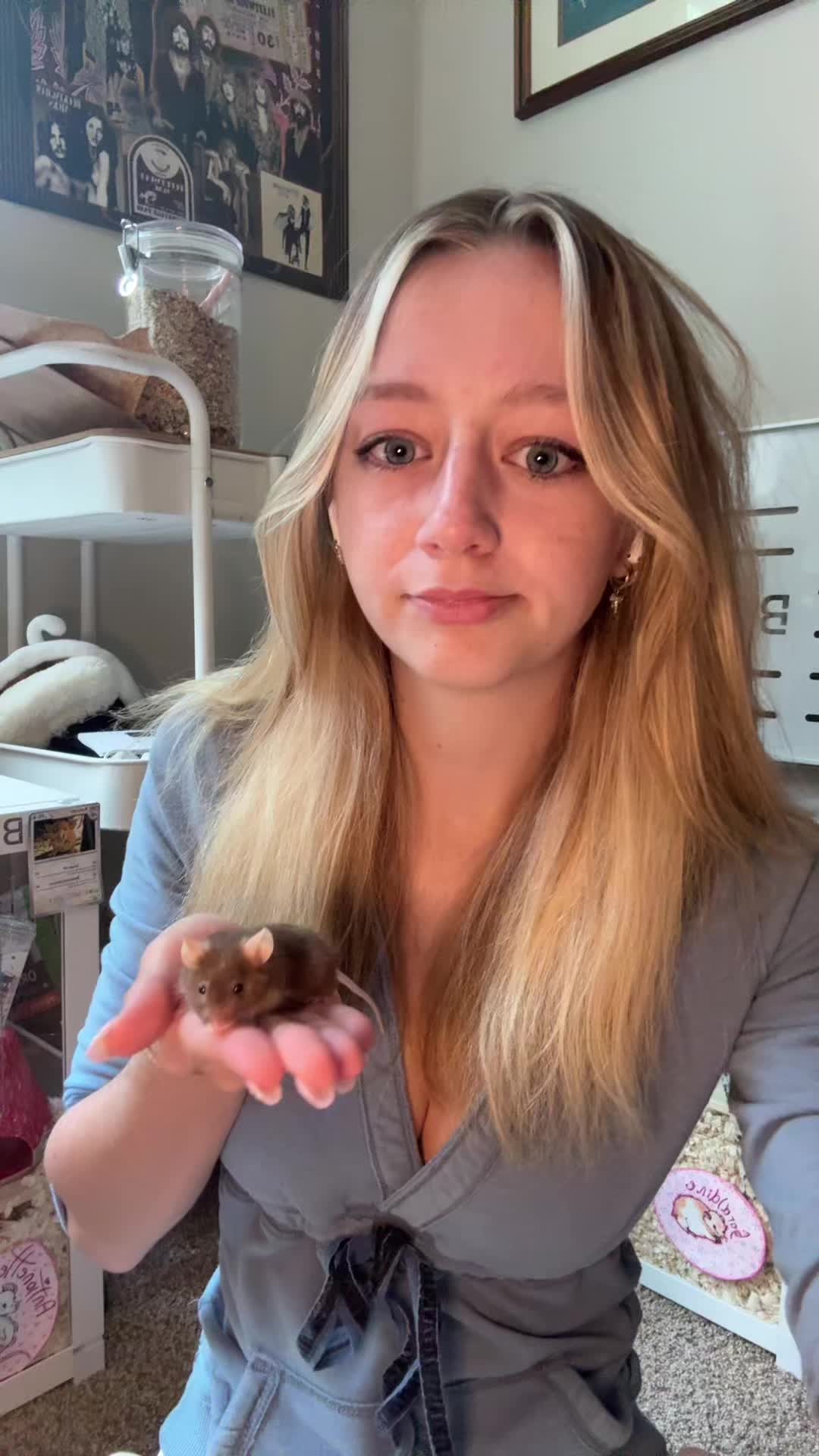 @thatweirdanimalgirl