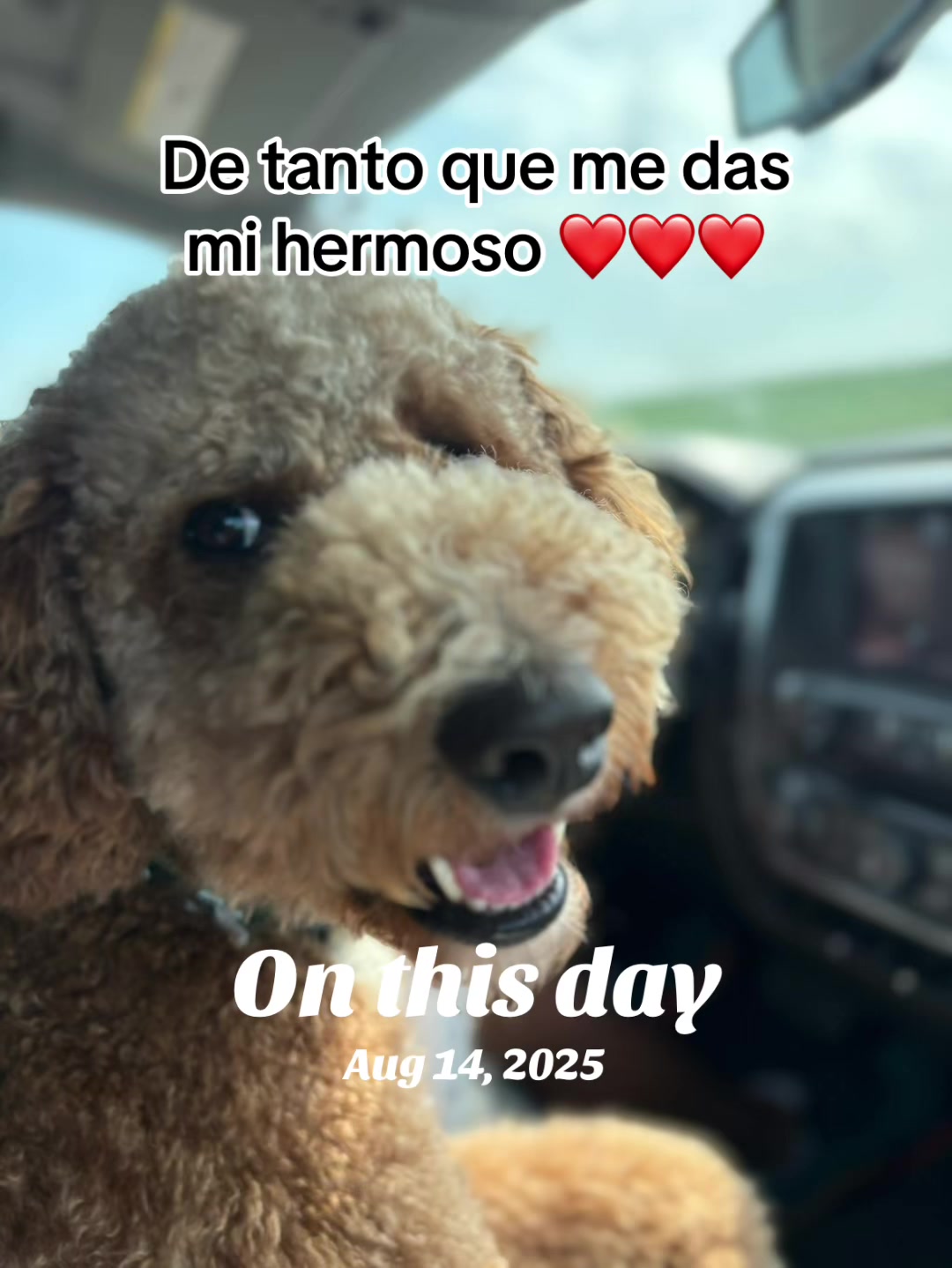 @Reyna y Churro 🐶😍