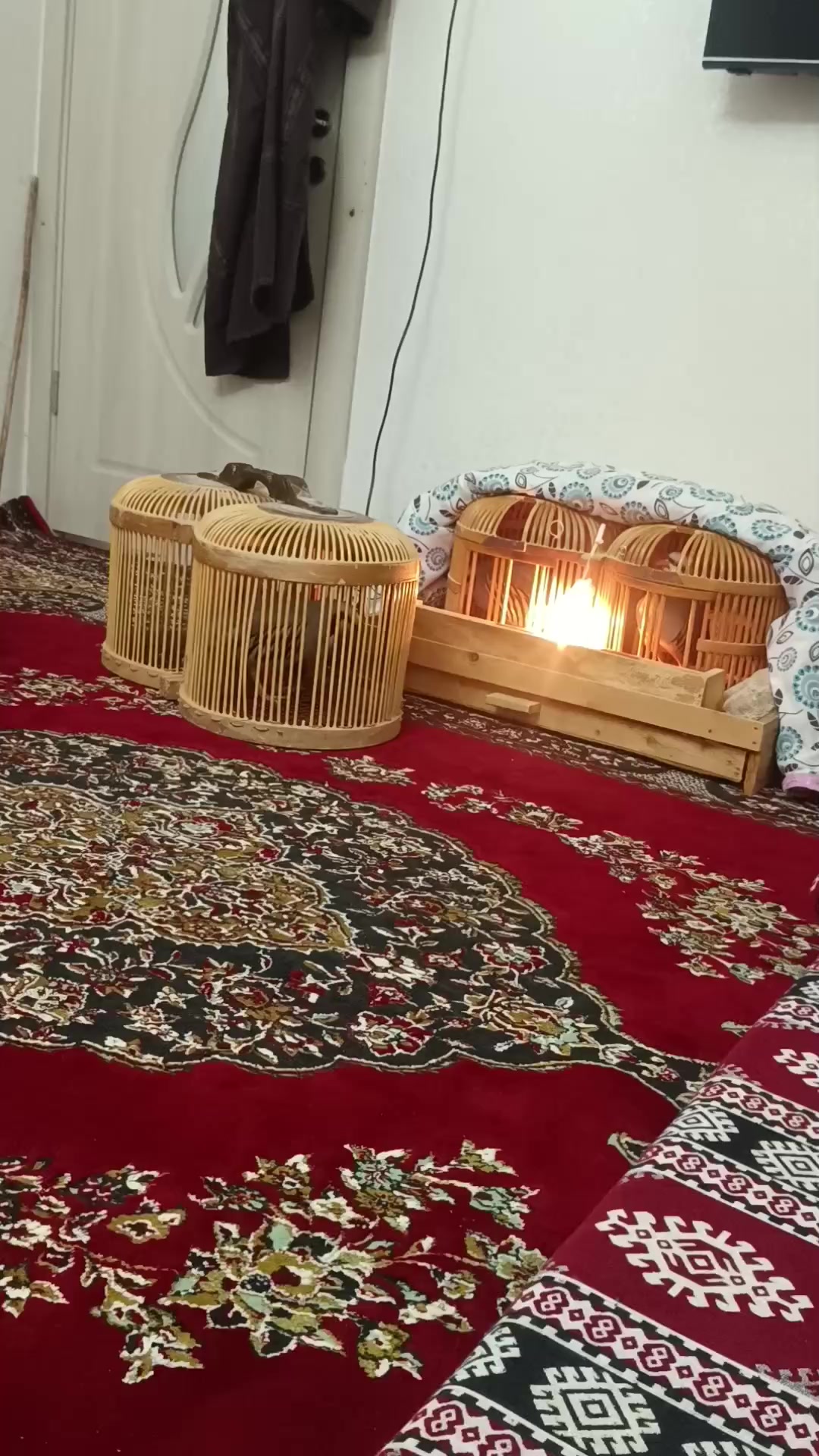 @Murat &ccedil;okan