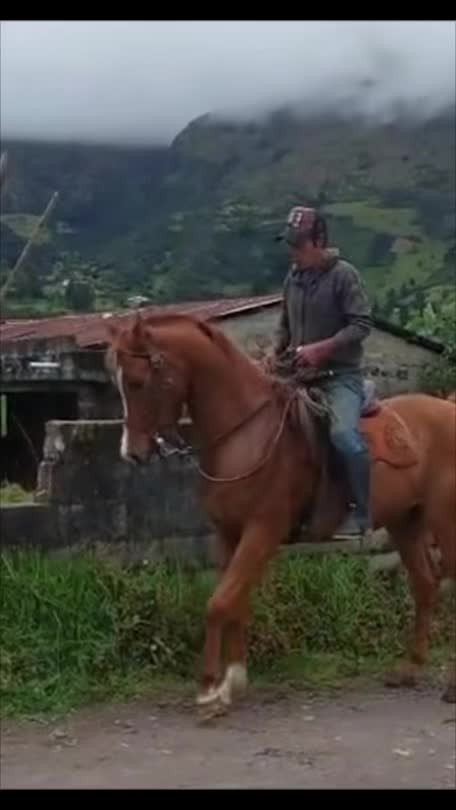 @gio_loja 𐚁Ω🐎