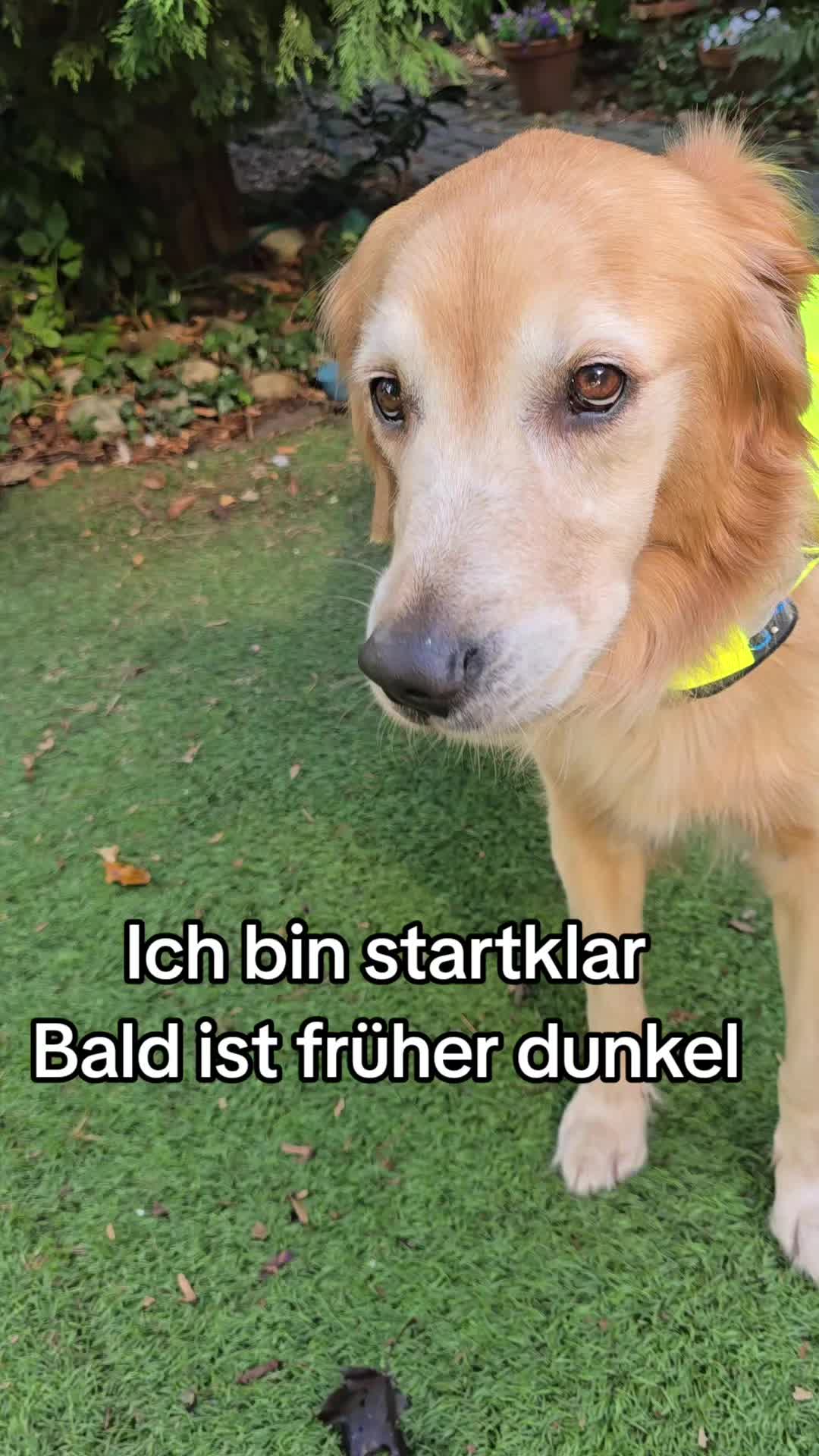 @Fellnasen WG