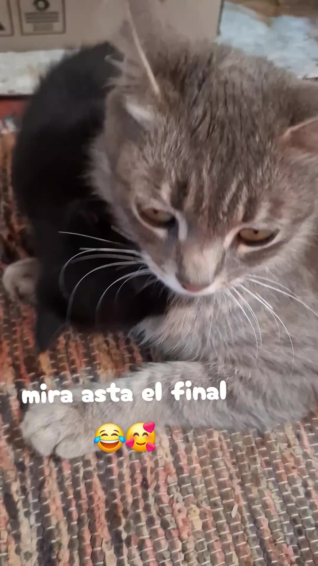 @Sara Machado