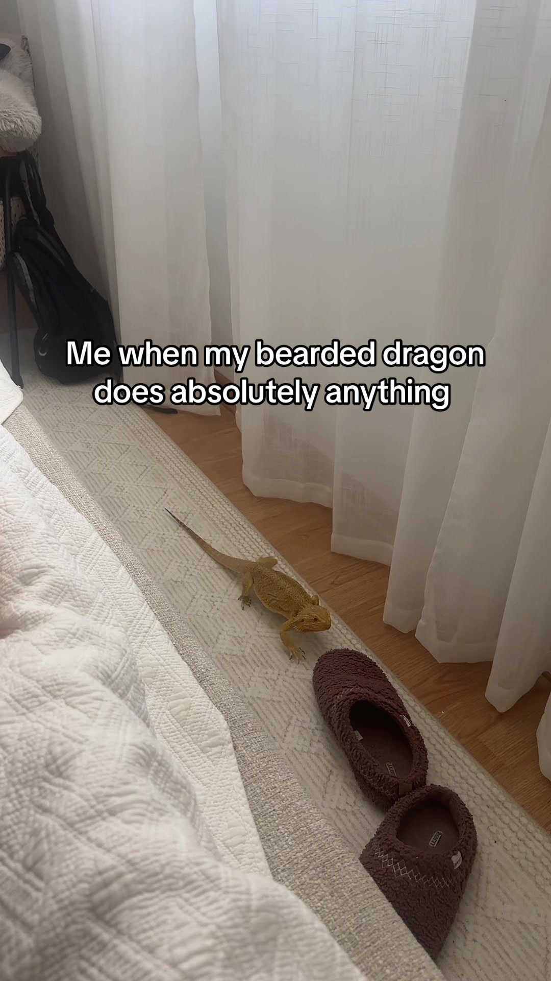 @Karolina Ceremon
