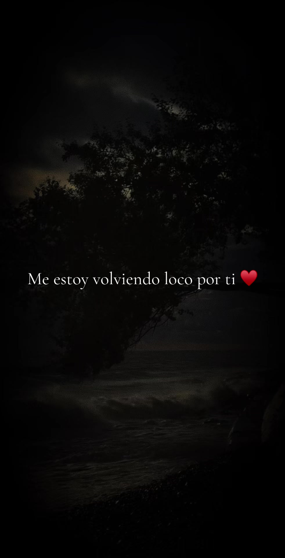 @✨️