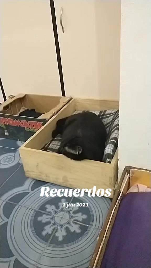 @petuchis