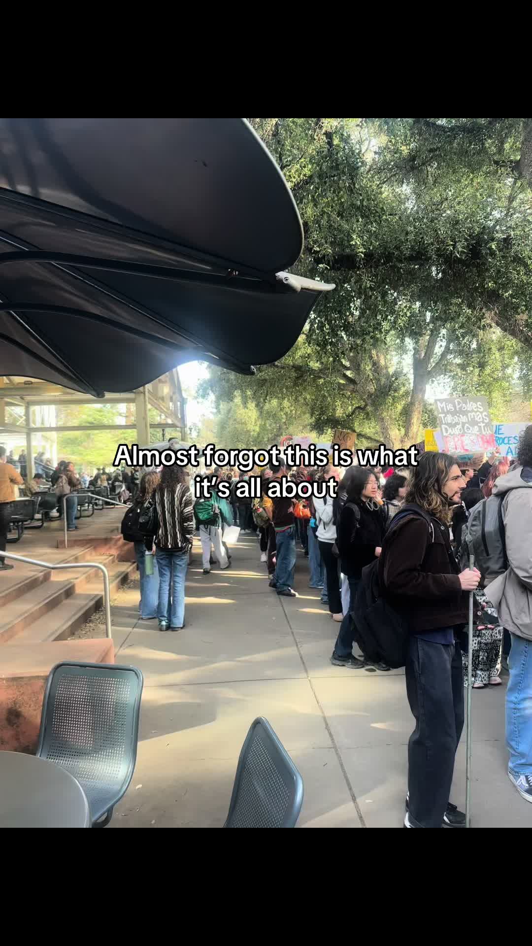 @Davis Diva