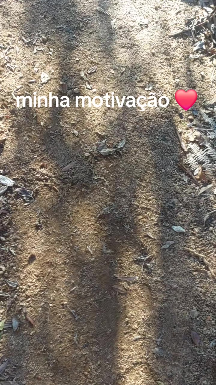 @rd trilhas passeios e viagens